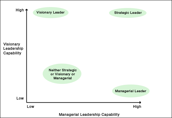 Term paper on leadership styles