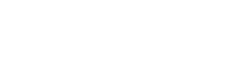 Ivey Business Journal
